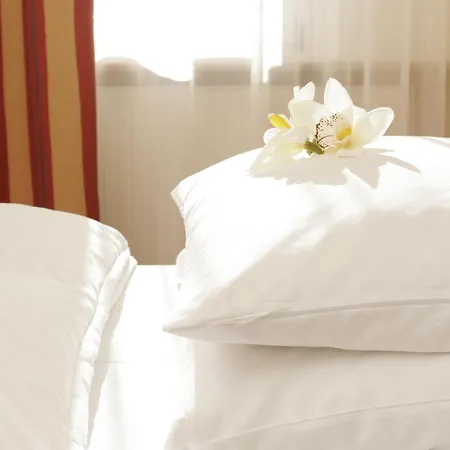 Aramis Tagungs- Und Hotel